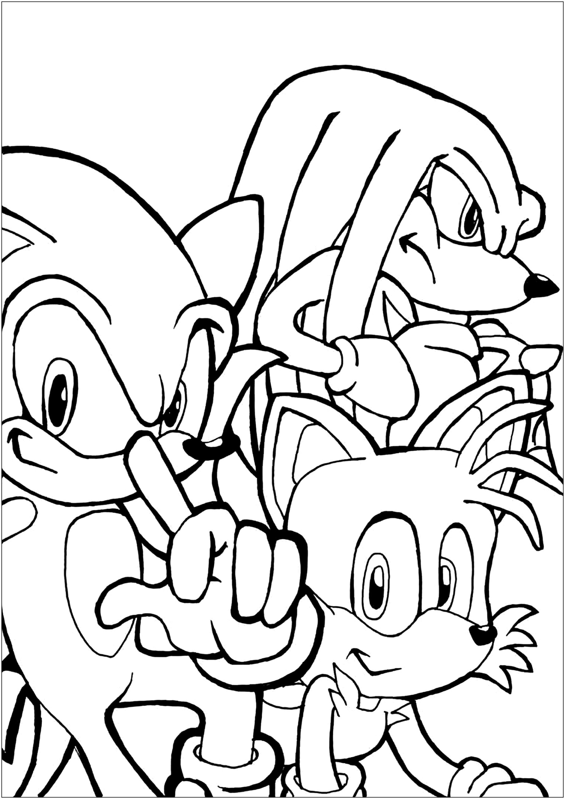Sonic Tails And Knuckles Sonic Coloring Pages Sonic Tails And Knuckles Sonic Coloring Pages