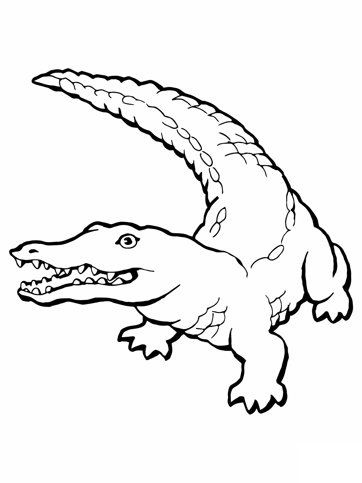 Soulmuseumblog Crocodile Coloring Pages Printable Soulmuseumblog Crocodile Coloring Pages Printable