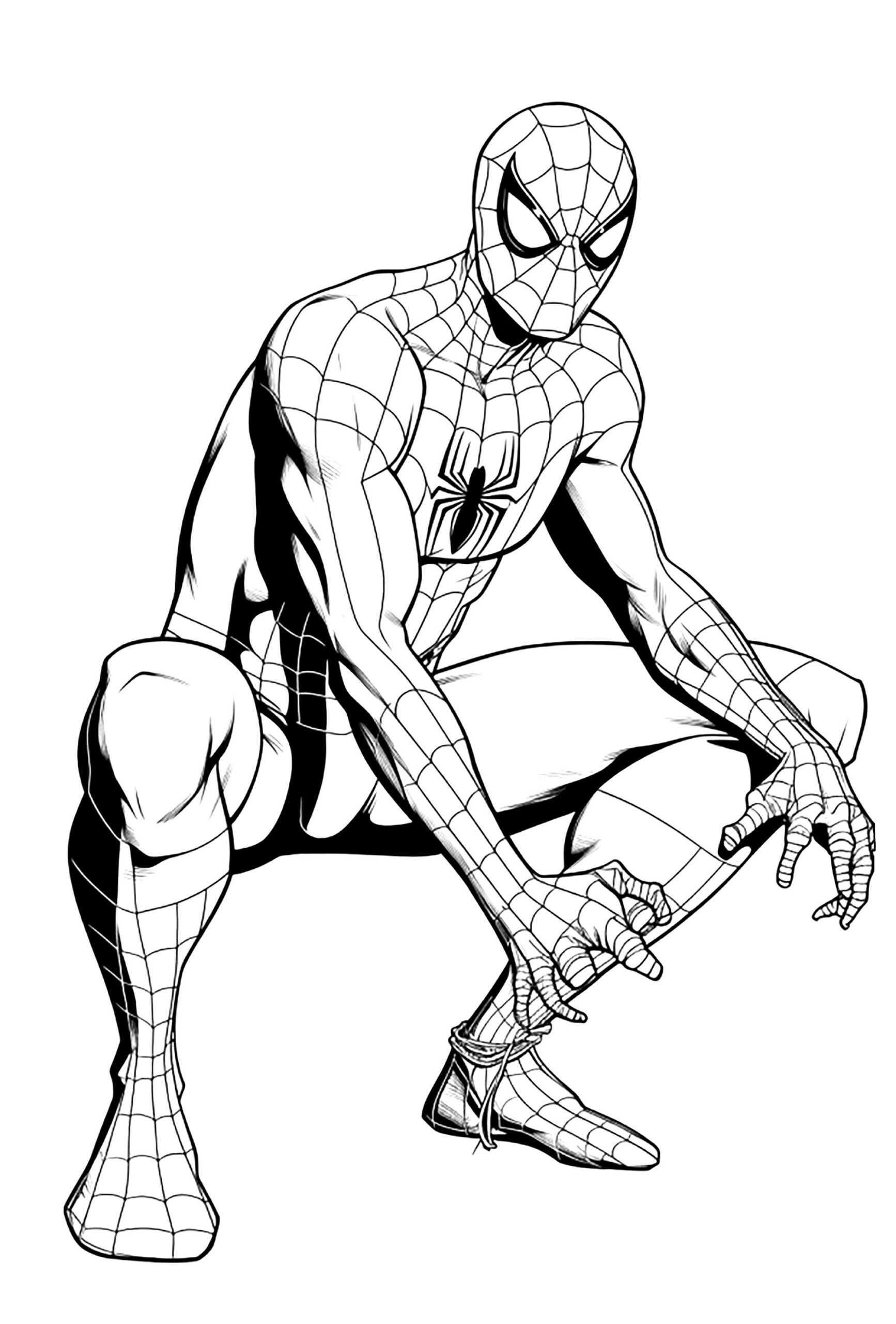 Spiderman Crouched And Attentive Spider Man Coloring Pages