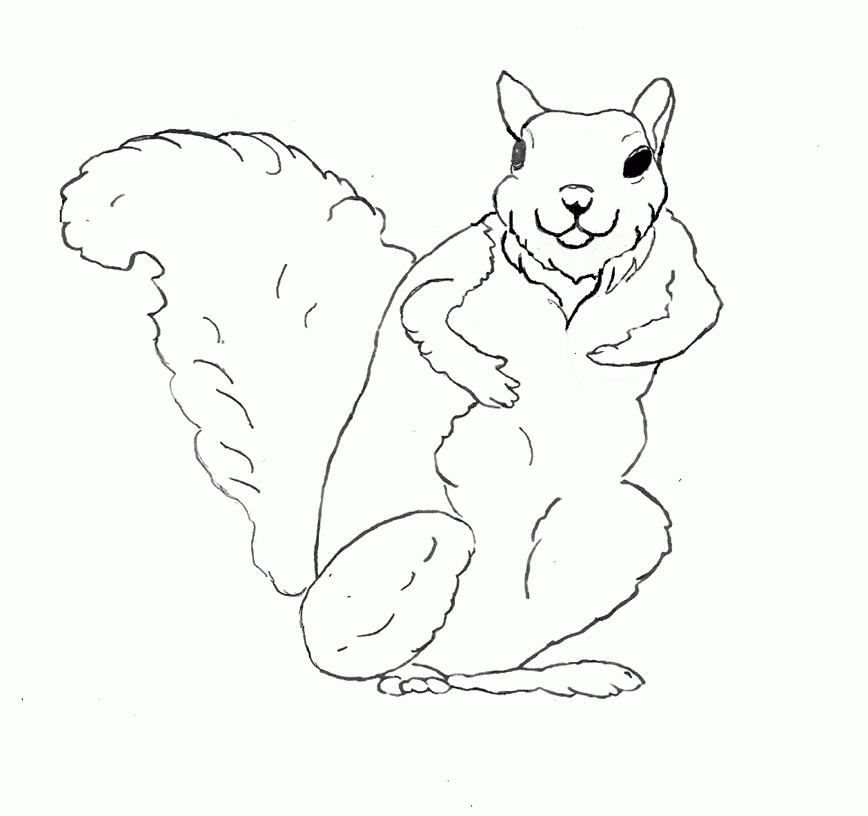 Squirrel Monkey Coloring Pages Squirrel Coloring Page Squirrel