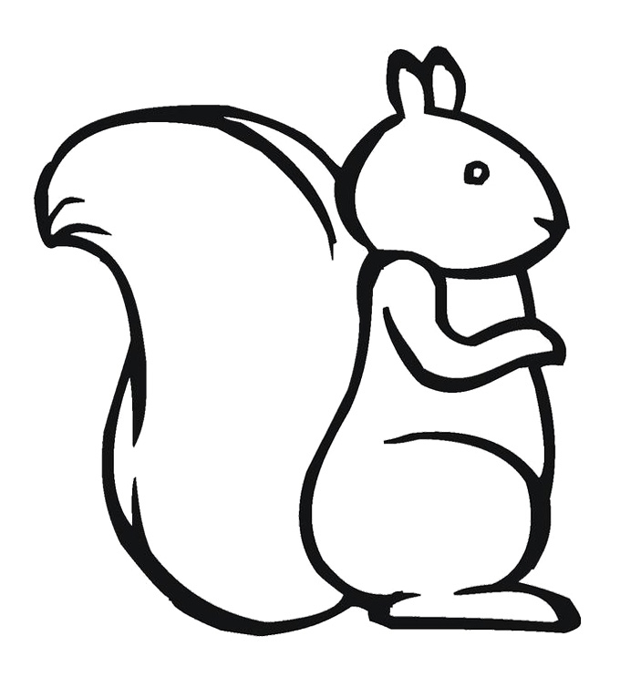 Squirrel Templates ClipArt Best Squirrel Templates ClipArt Best