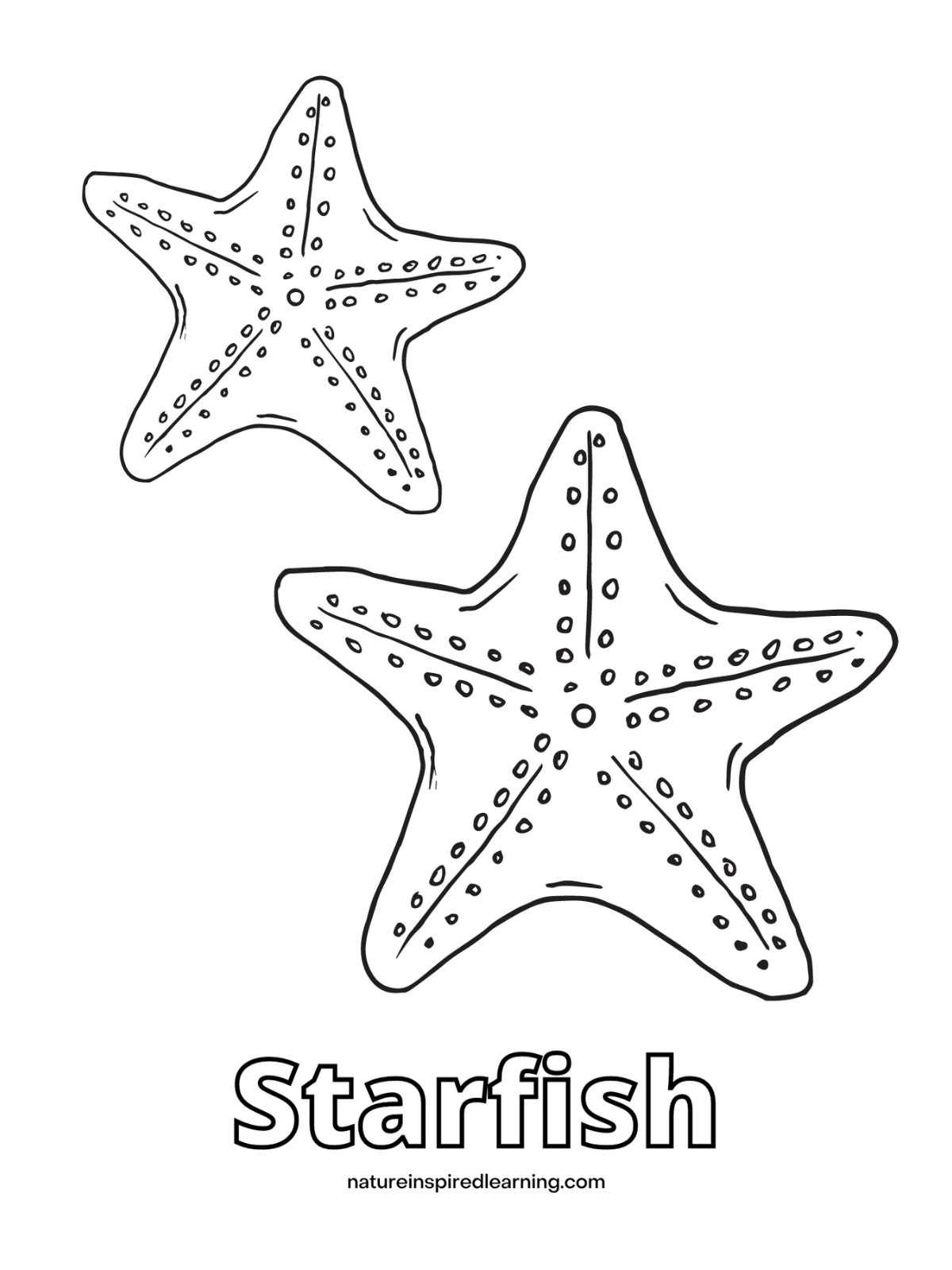 Starfish Coloring Page Star Coloring Pages Starfish Fish Outline