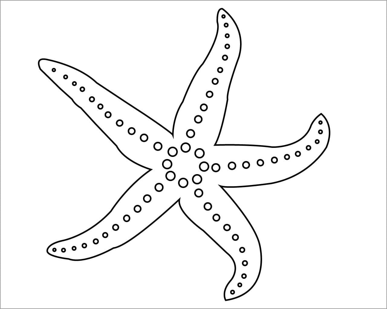 Starfish Printable Coloring Pages