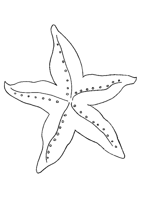 Starfish Printable Coloring Pages