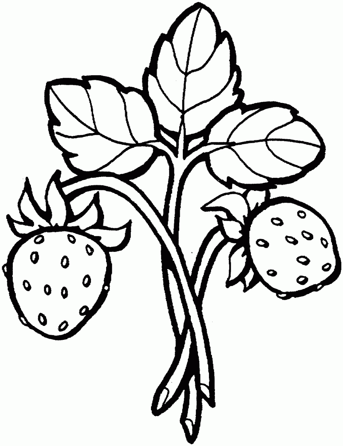 Strawberry Coloring Page Printable Strawberry Coloring Page Printable