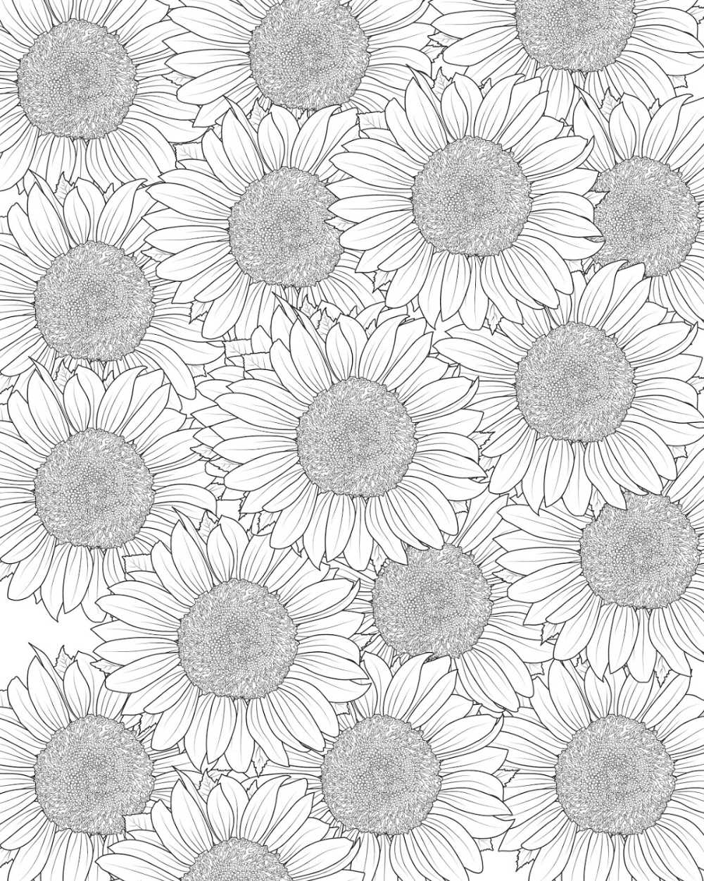 Sunflower Coloring Page Printable Sunflower Coloring Page Printable