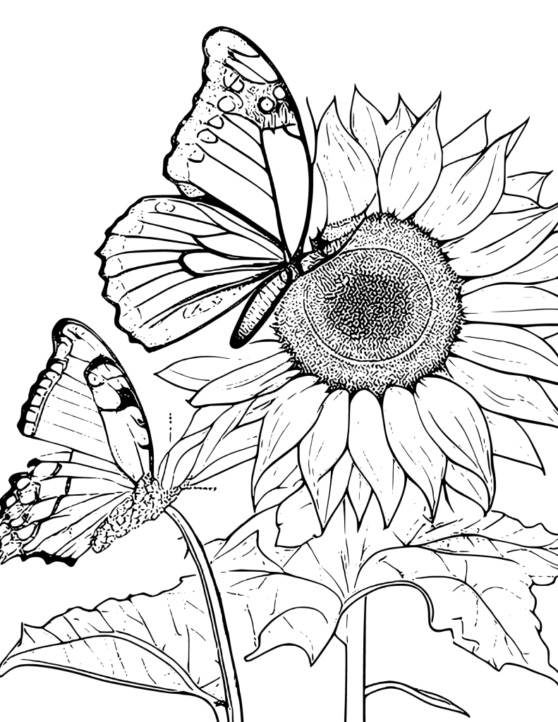 Sunflower Coloring Pages For Kids Printable Vrogue Co Sunflower Coloring Pages For Kids Printable Vrogue Co