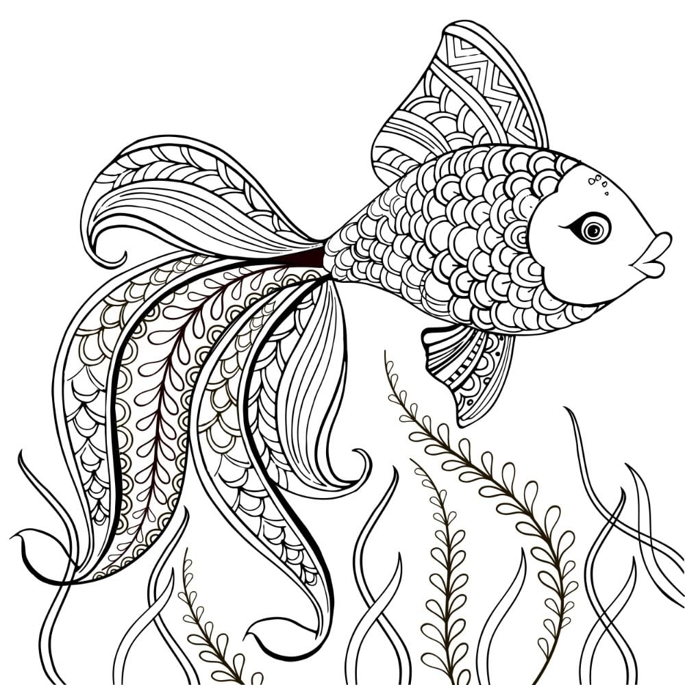Supervisar Acortar Acorazado Fish Coloring Sheet Mil Metro Algun Lado Supervisar Acortar Acorazado Fish Coloring Sheet Mil Metro Algun Lado