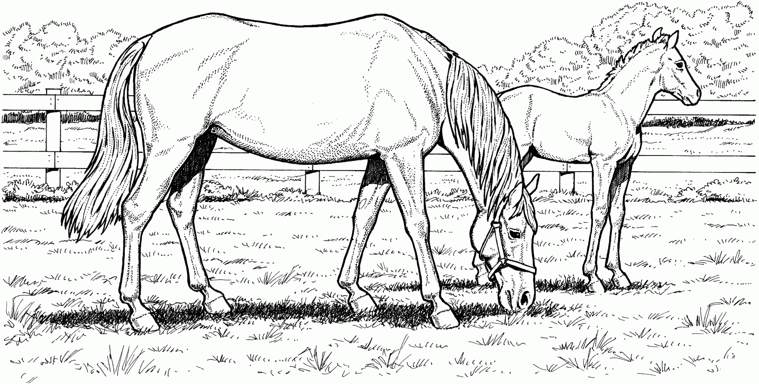Horse Printable Coloring Pages Horse Printable Coloring Pages