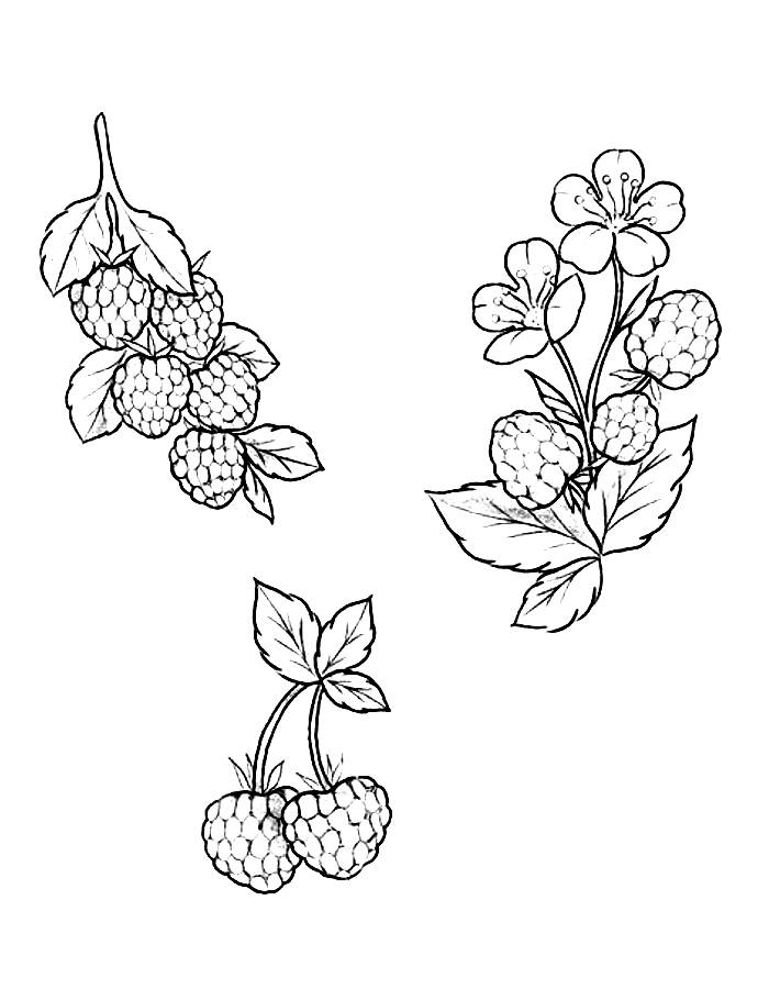 Tattoo Coloring Pages Free Printable PDF Tattoo Coloring Pages Free Printable PDF