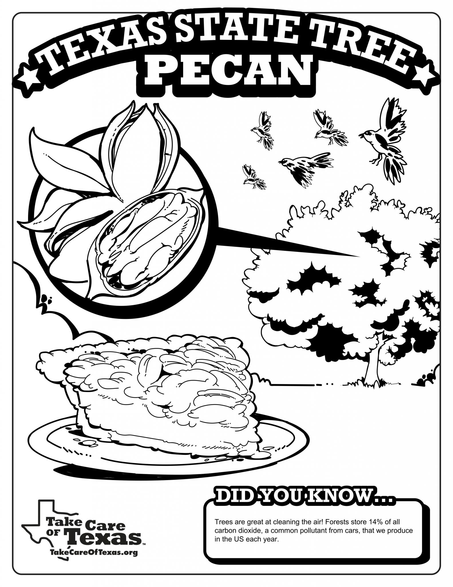 Texas Symbols Coloring Pages Texas Symbols Coloring Pages