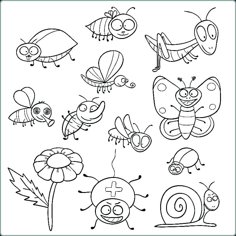 Insect Coloring Pages Printable Insect Coloring Pages Printable