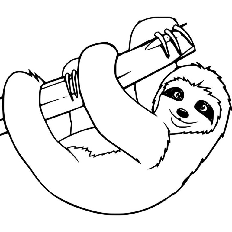 Three Toed Sloth Coloring Pages Printable XColorings Three Toed Sloth Coloring Pages Printable XColorings