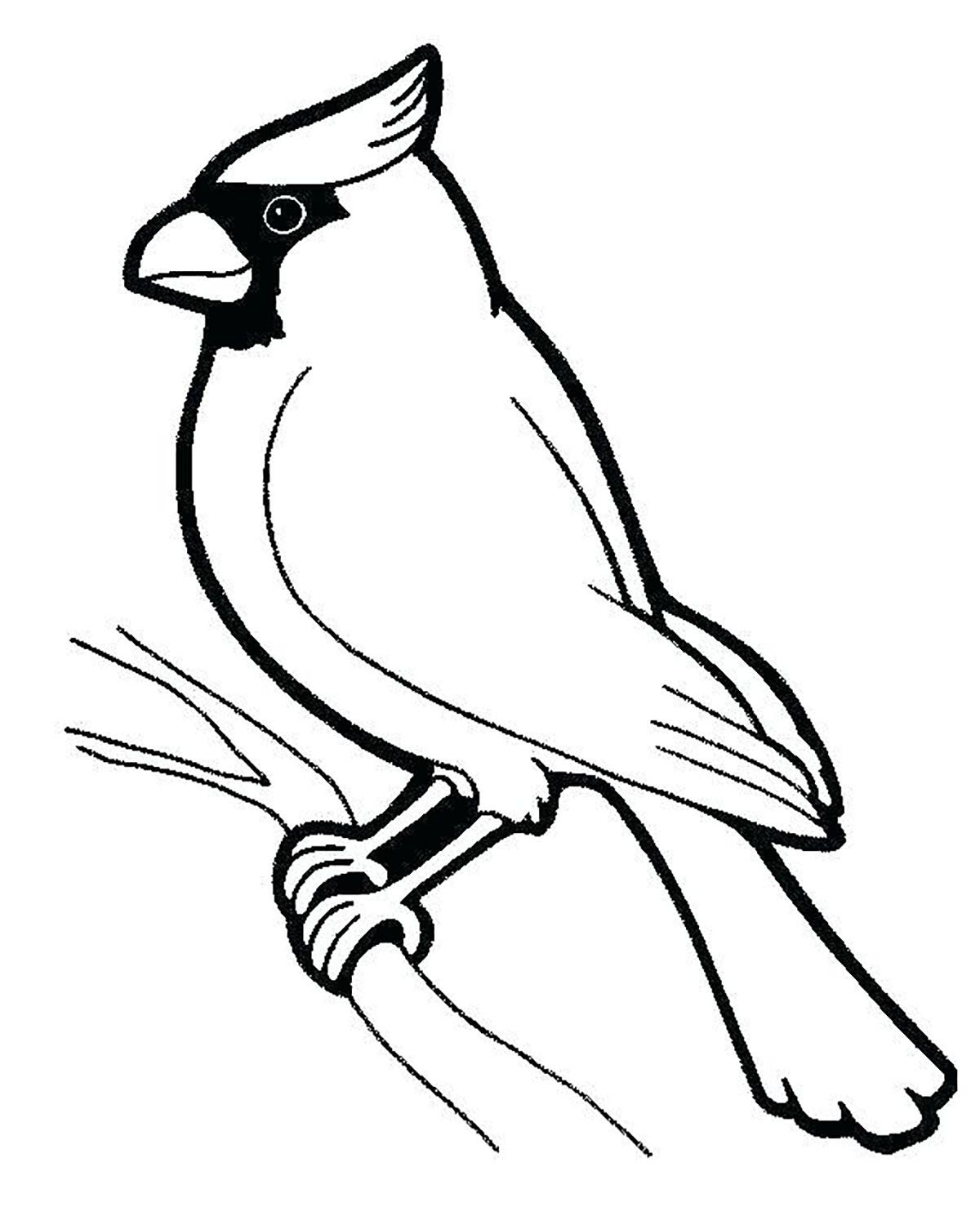 Bird Coloring Pages Free Printable Bird Coloring Pages Free Printable