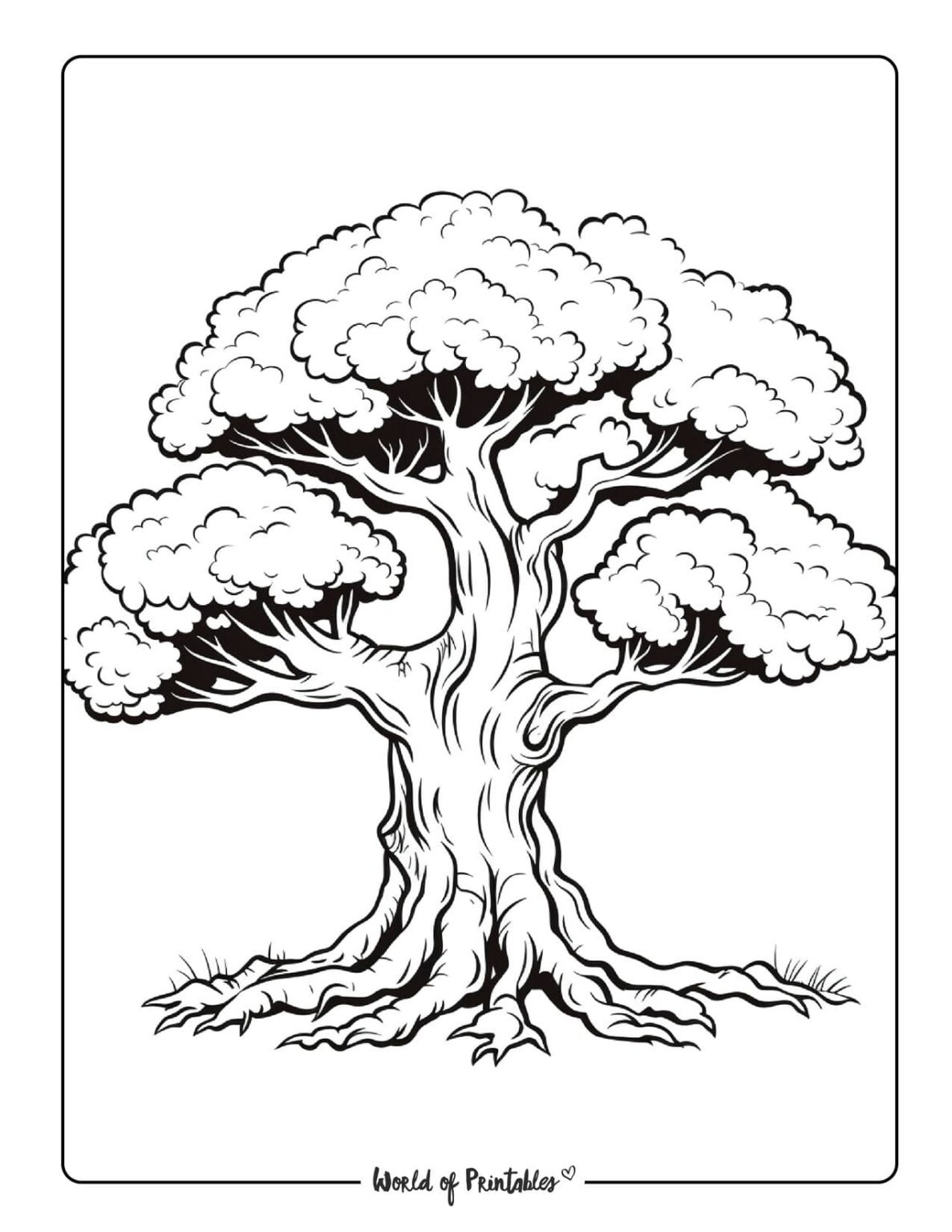 Tree Coloring Pages Bare Trunk Leaves Winter Without Leaf Drawing Fall