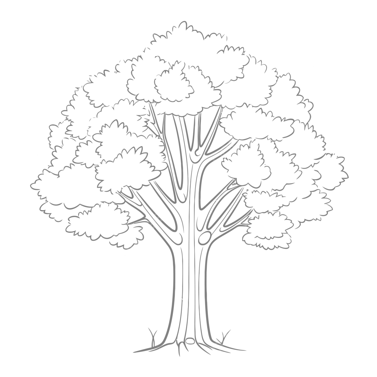 Tree Colouring Pages Printable Prntbl Concejomunicipaldechinu Gov Co Tree Colouring Pages Printable Prntbl Concejomunicipaldechinu Gov Co