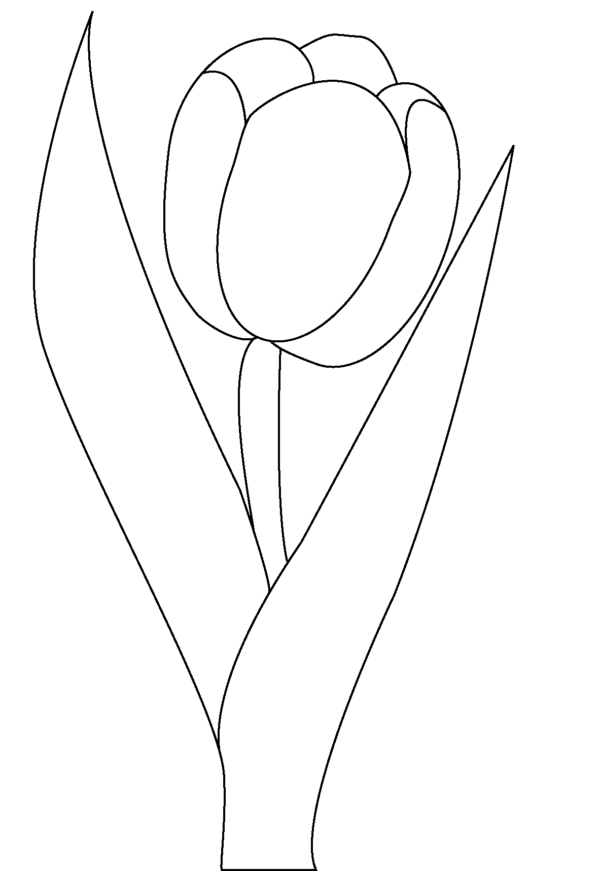 Tulip Coloring Page Tulip Coloring Page
