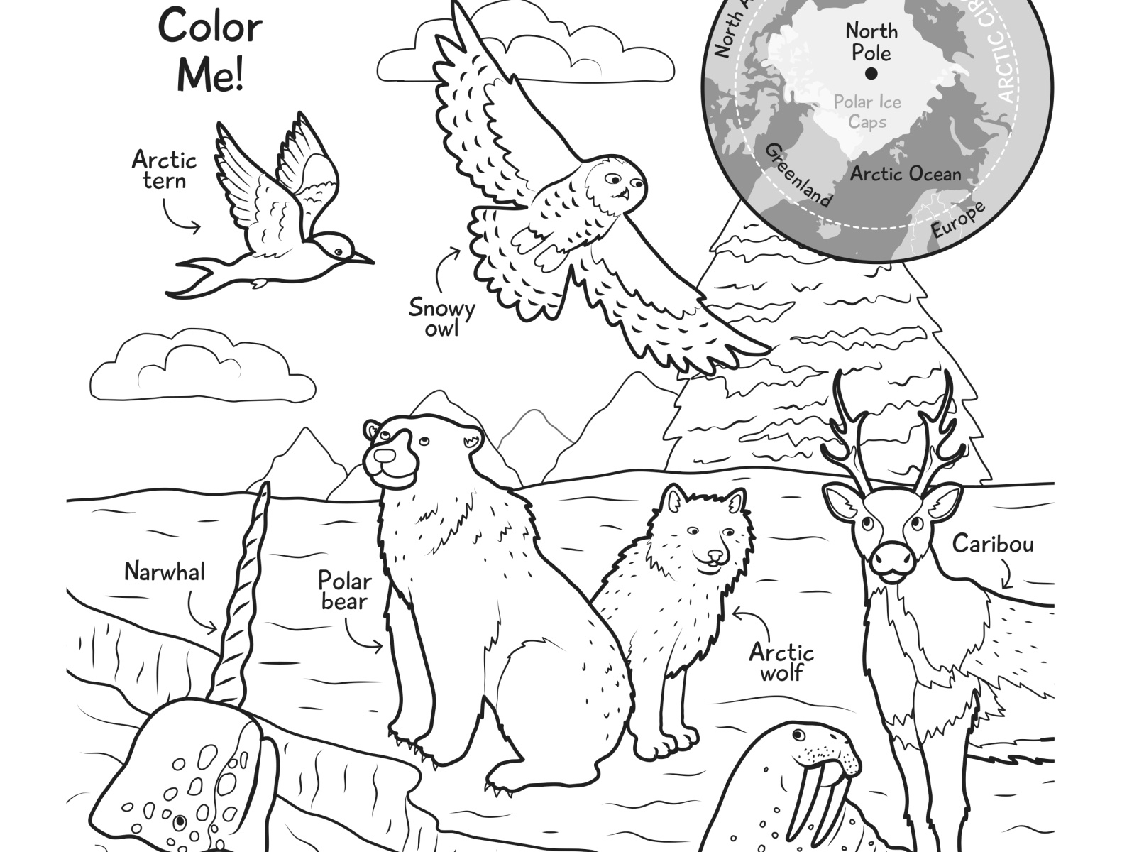 Tundra Coloring Page Tundra Coloring Page