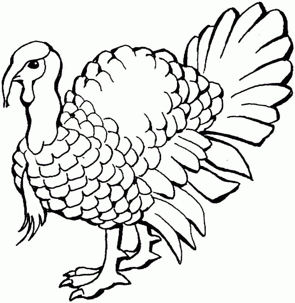Turkey Color Pages ColoringMe Turkey Color Pages ColoringMe