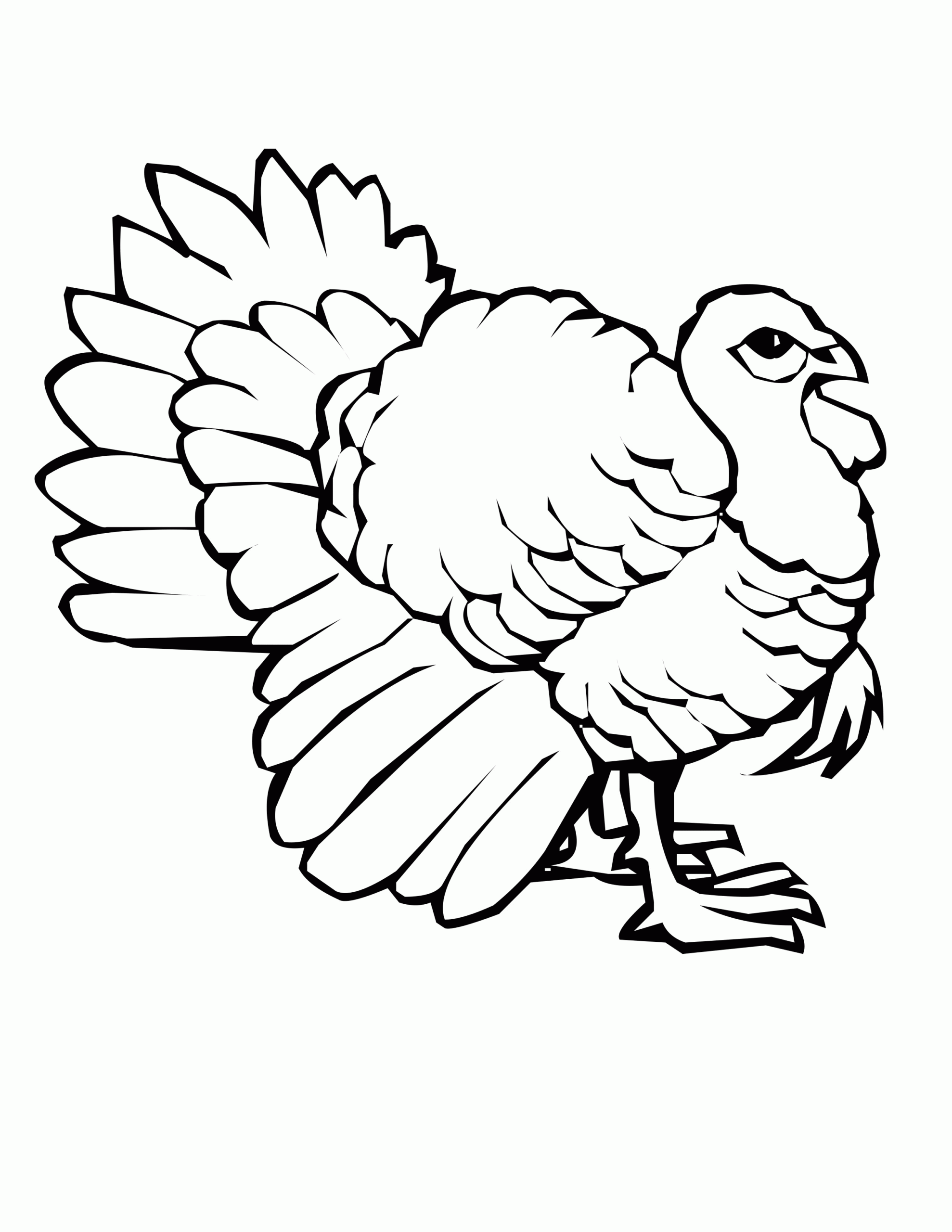 Turkey Color Pages Printable Turkey Color Pages Printable
