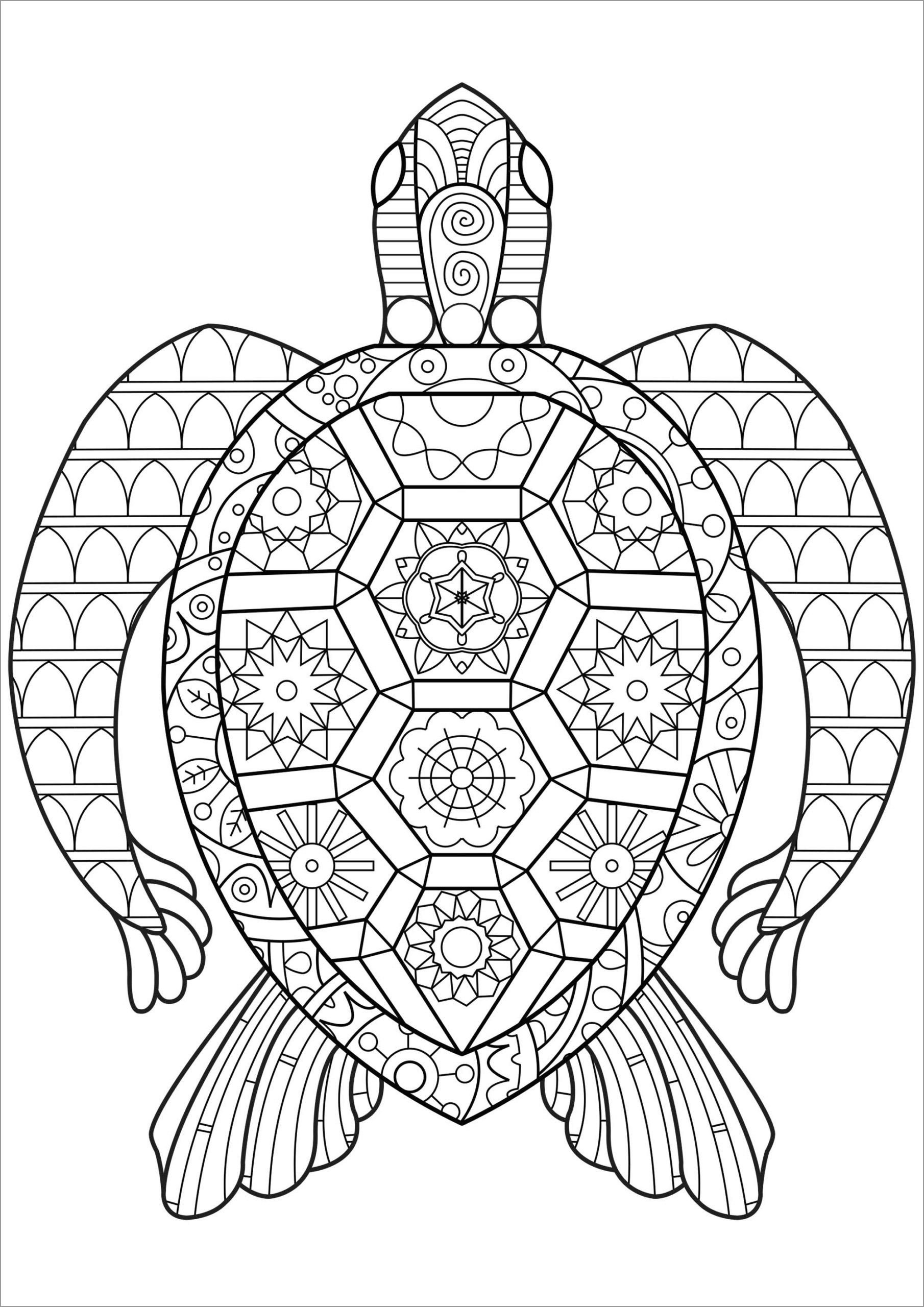 Turtle Coloring Pages ColoringBay Turtle Coloring Pages ColoringBay