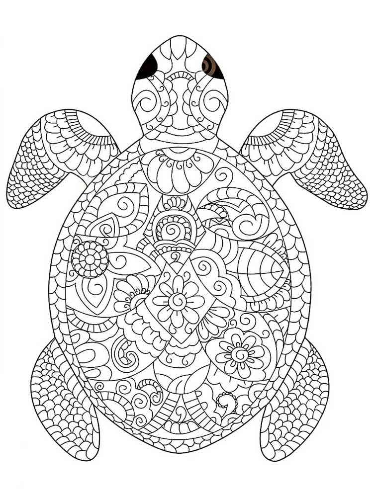 Printable Sea Turtle Coloring Pages For Adults