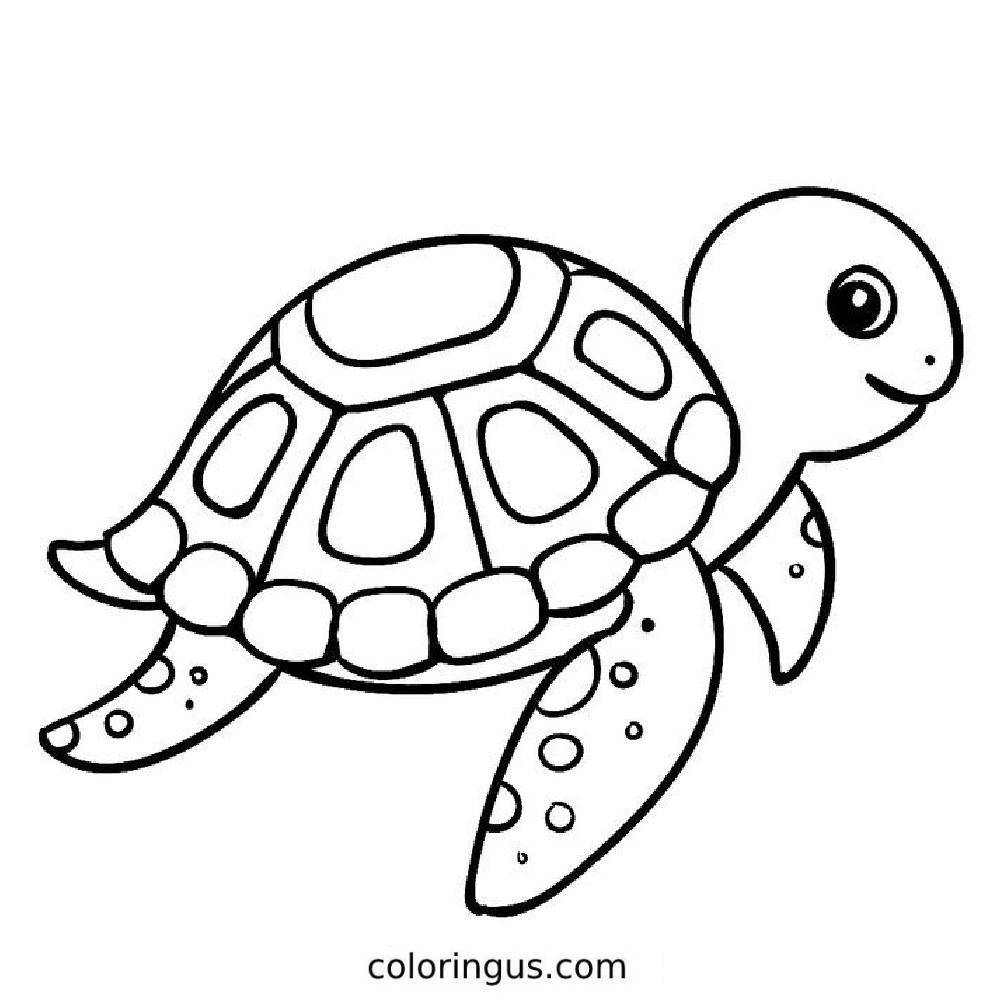 Printable Turtle Coloring Pages Printable Turtle Coloring Pages
