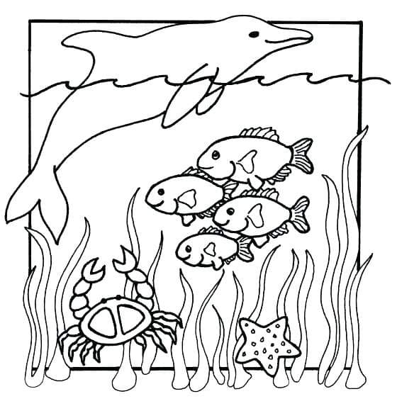 Free Printable Sea Life Ocean Animals Coloring Pages Free Printable Sea Life Ocean Animals Coloring Pages