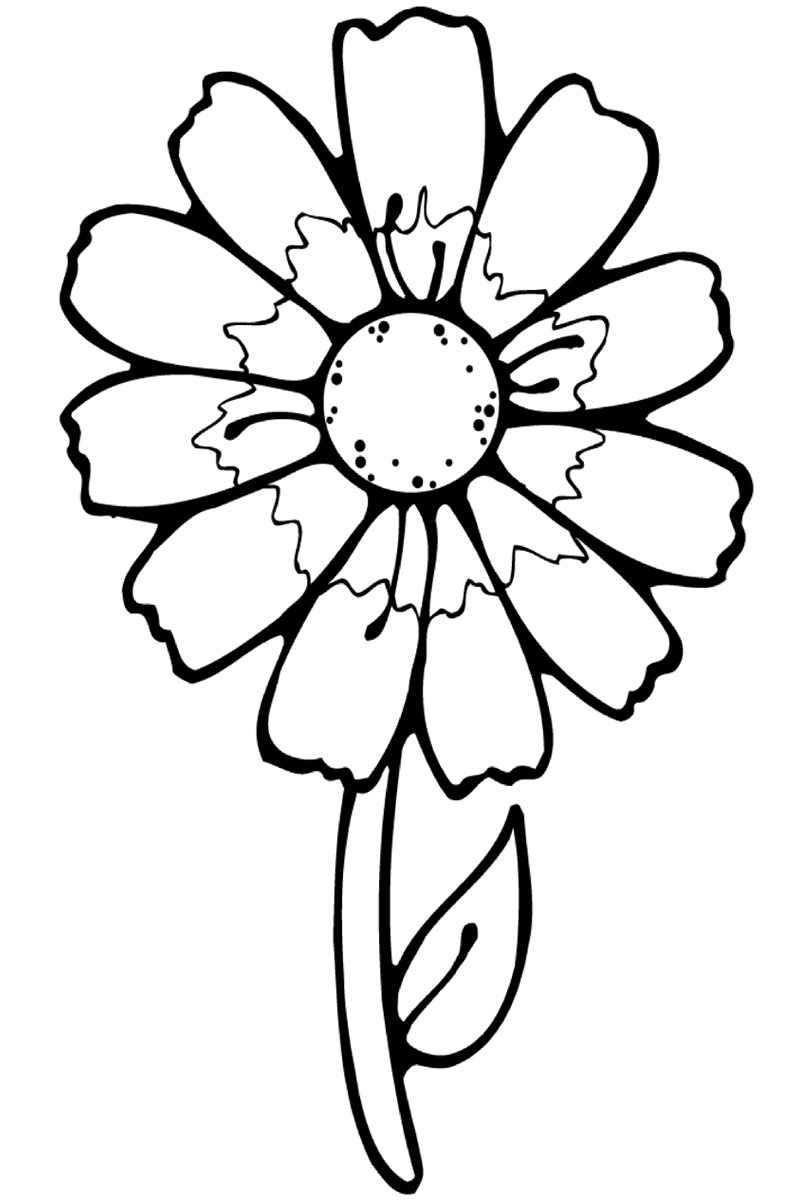 Flowers Printable Coloring Pages Flowers Printable Coloring Pages