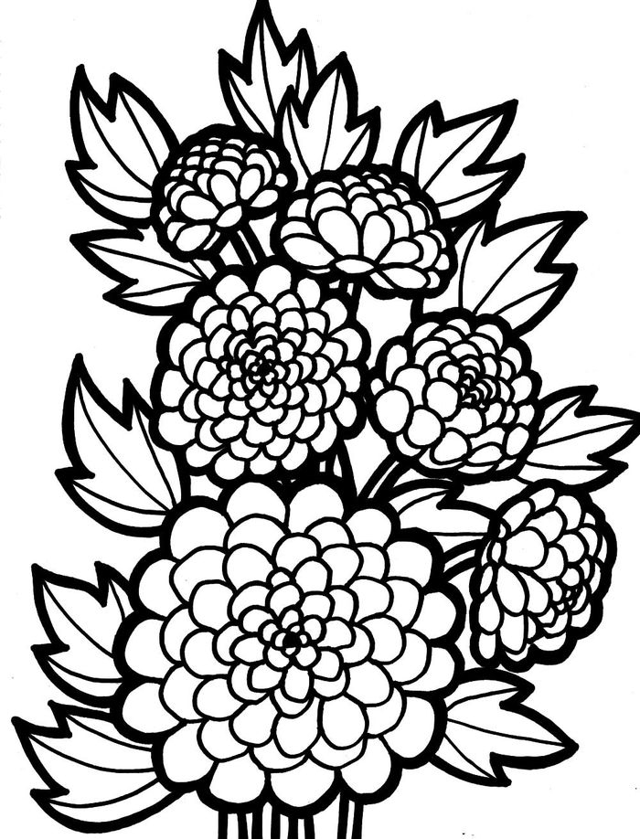 Printable Coloring Pages For Adults Flowers Printable Coloring Pages For Adults Flowers
