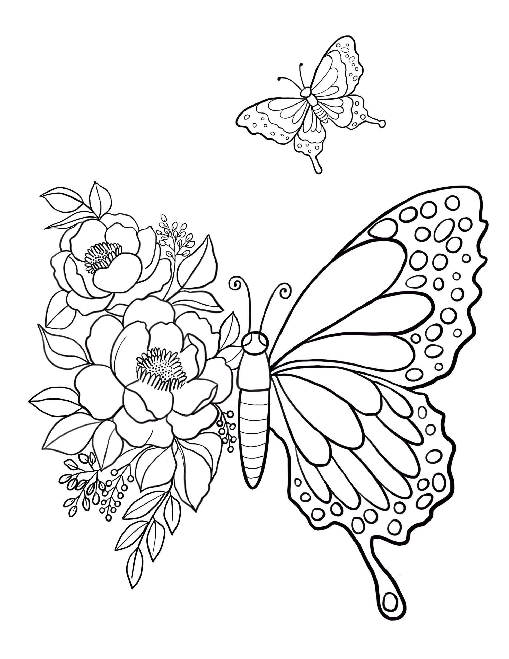 Very Detailed Butterfly Coloring Pages