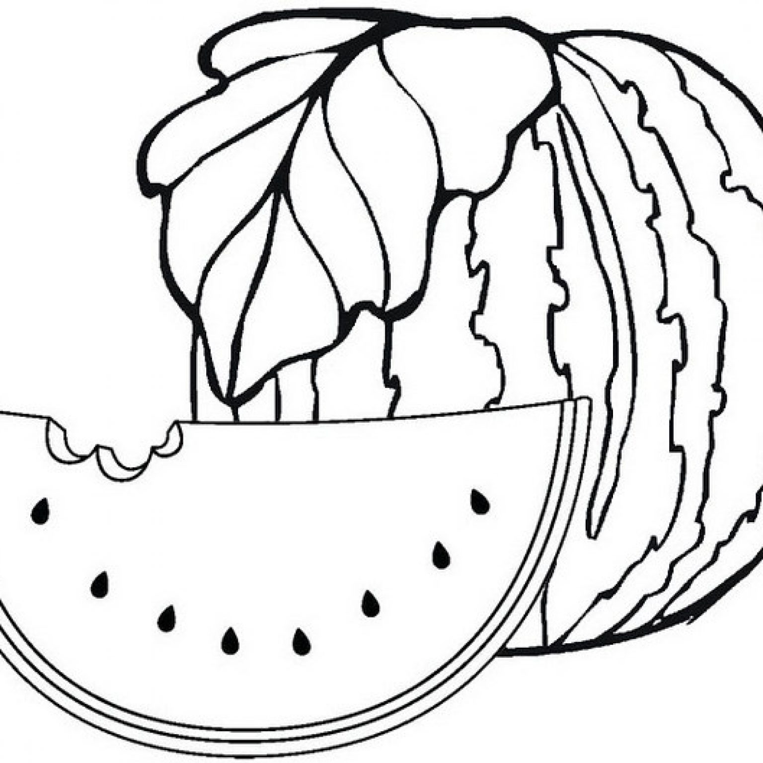 Watermelon Coloring Pages Printable Watermelon Coloring Pages Printable