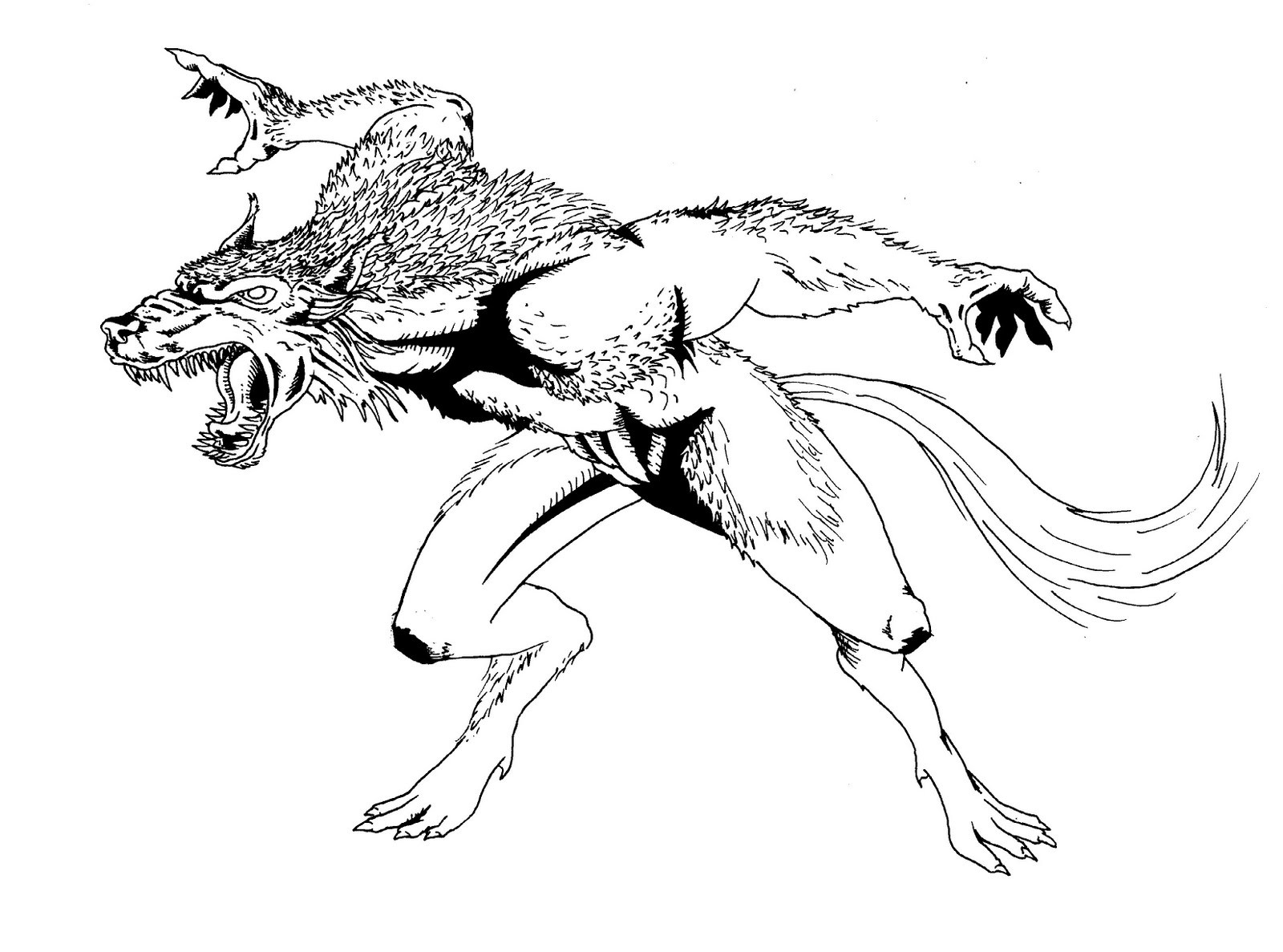 Werewolf Coloring Pages Printable At GetDrawings Free Download Werewolf Coloring Pages Printable At GetDrawings Free Download