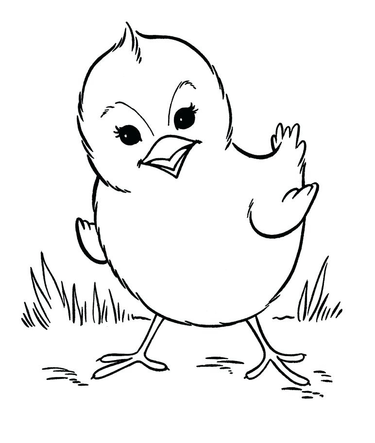 Wild Animals Coloring Pages Printable At GetColorings Free
