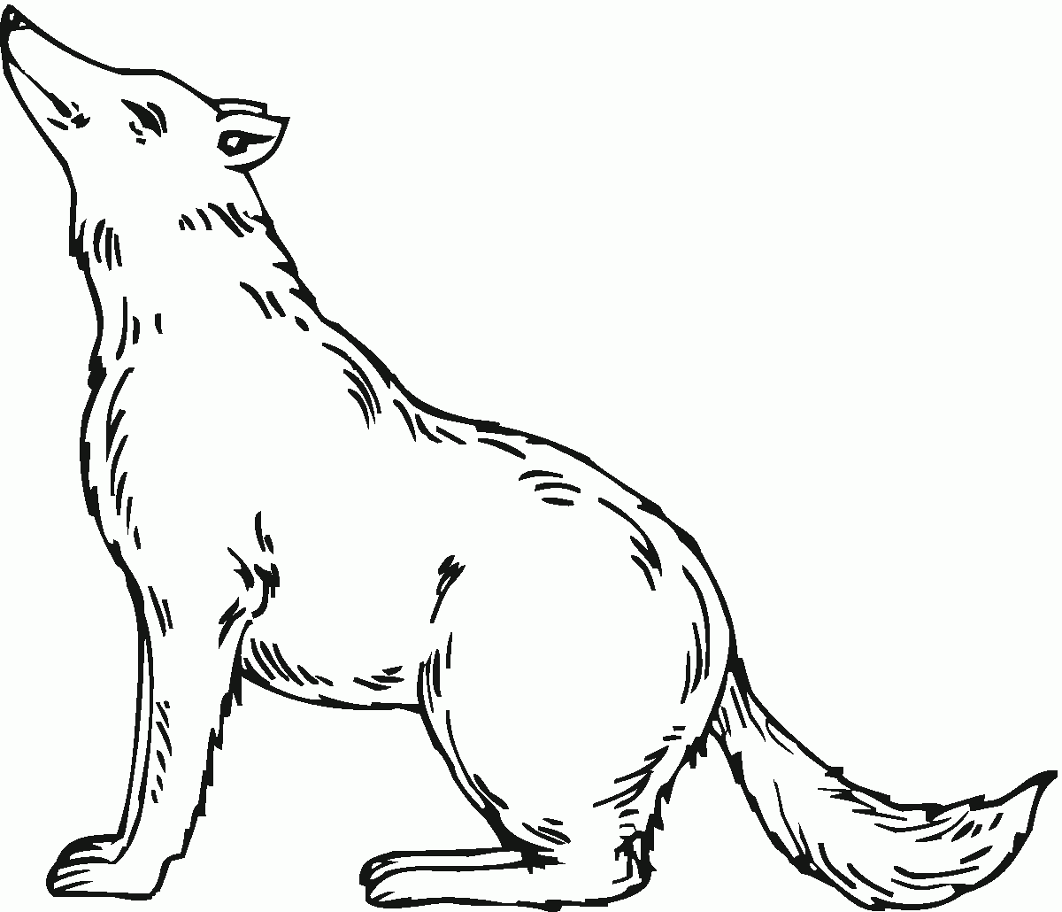 Wolf Coloring Book Pages
