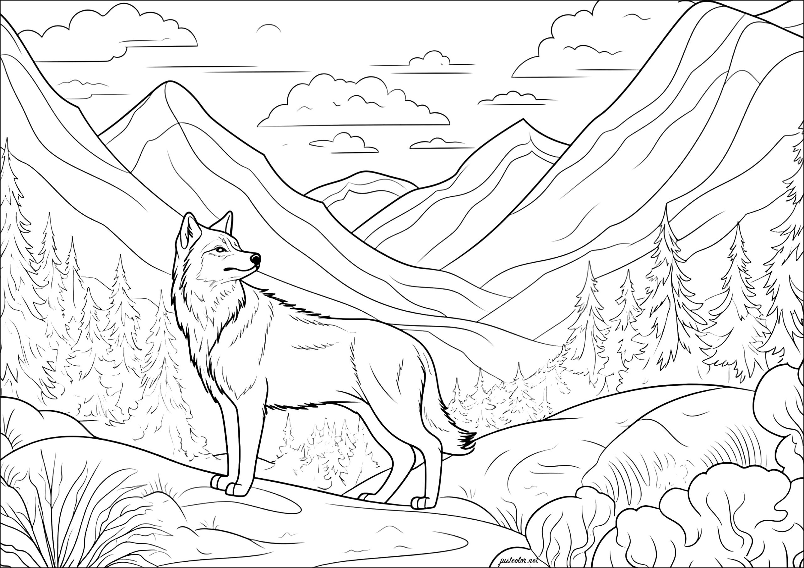 Coloring Pages Printable Wolf Coloring Pages Printable Wolf