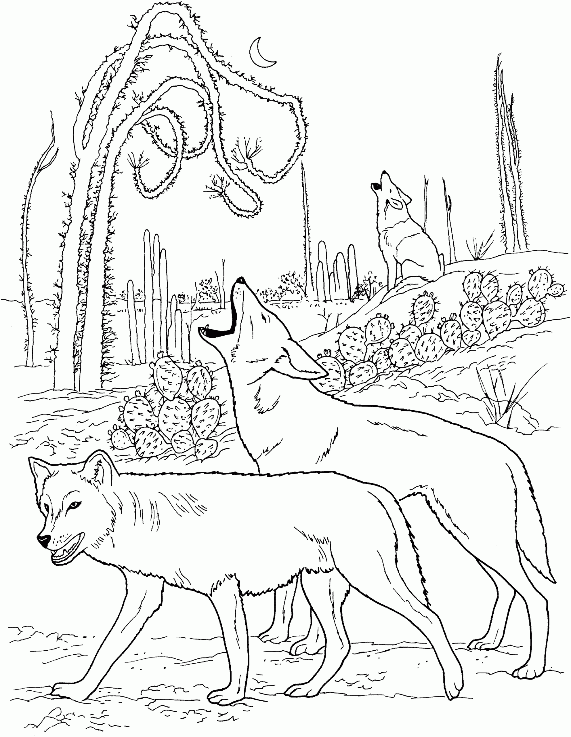 Wolf Printable Coloring Pages