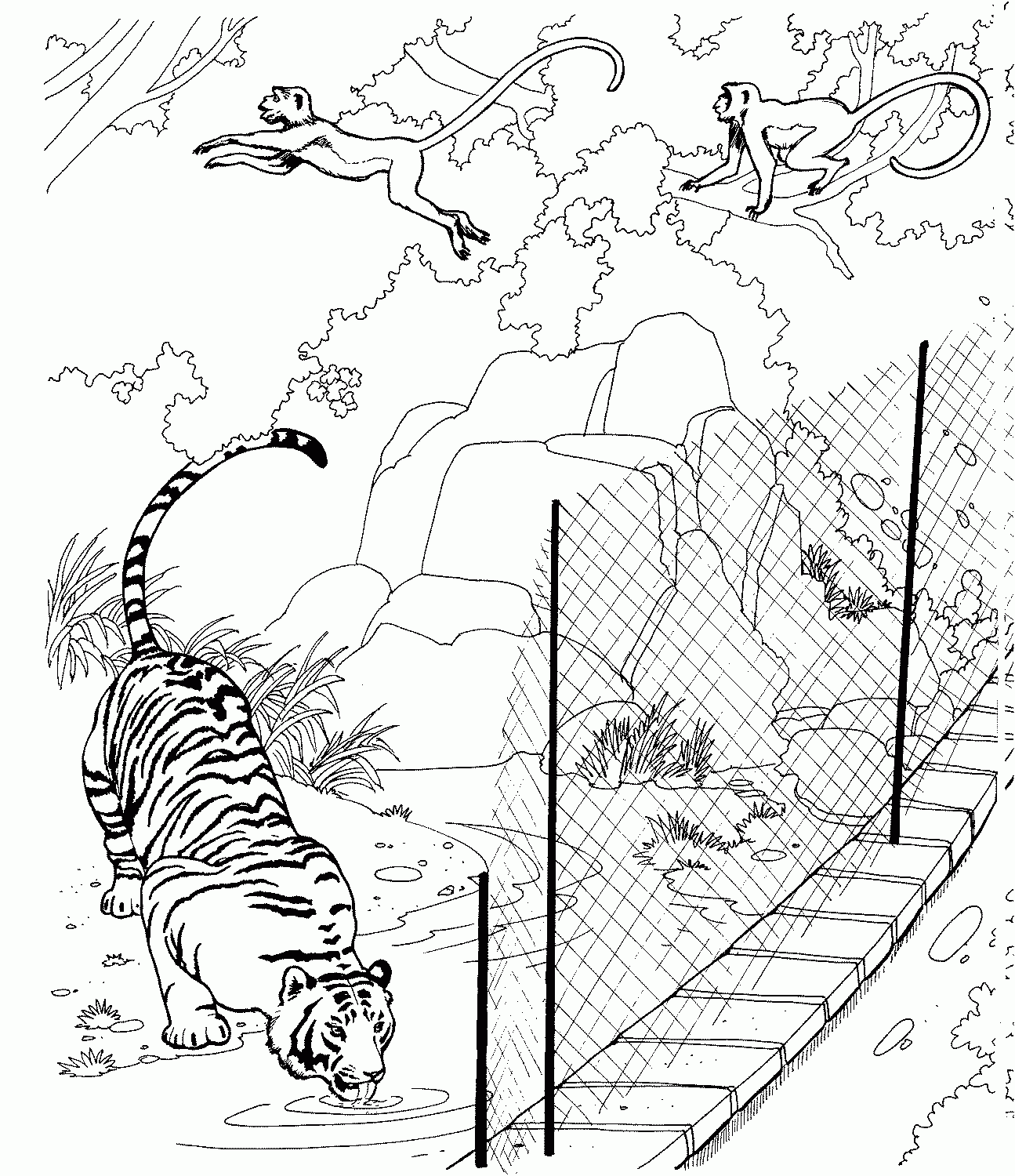 Zoo Printable Coloring Pages